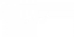 ATRV_White_Web