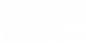 Logo_Sika_White_Web